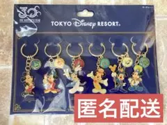 東京ディズニーリゾート 30周年 アクリルキーホルダー 6個セット