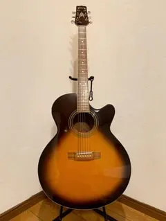 タカミネTakamineアコースティックギターのサムネイル