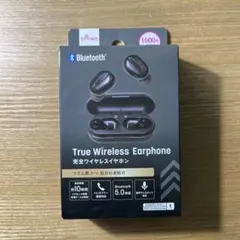 DAISO 完全ワイヤレスイヤホン TWS001