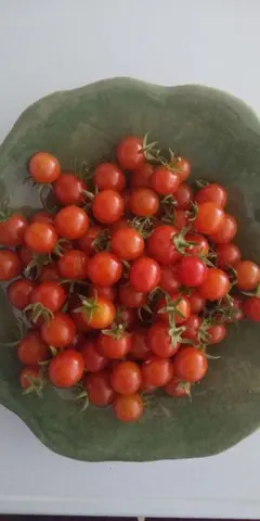 mumu様 リクエスト 2点 まとめ商品