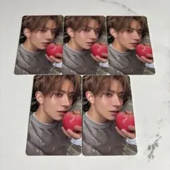 enhypenエナプthesin vanish fugitives ヒスン 5枚