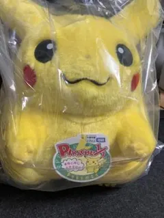 ポケットモンスター ポケモン30周年記念 おかえりピカチュウ1/1 ぬいぐるみ