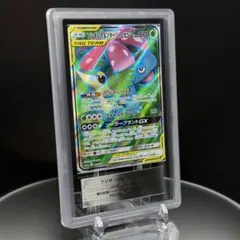 ARS10 フシギバナ＆ツタージャgx sr