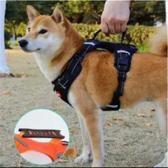 Item thumbnail for item 565e7bec-644b-4635-8994-73129ddbfb2d