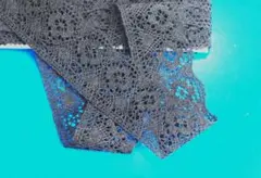 Item thumbnail for item 5239fda3-c98f-40c2-a272-e8b66dcde7a9