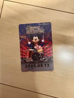 9/13 リゾートライン フリーきっぷ BBB ディズニー リゾラ 期限切れ