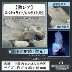 2026年最新】スペキュライトの人気アイテム - メルカリ