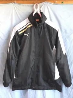 Item thumbnail for item 97ac383b-9554-46d8-b430-ed1a02038ed4