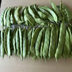 北海道産 つるありモロッコインゲン - メルカリ