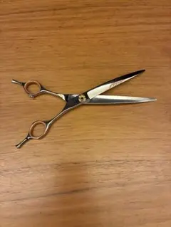 Item thumbnail for item 06ab6295-0fb0-4612-be2c-9298724f5401