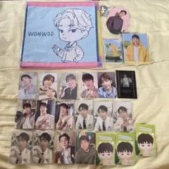 SEVENTEEN セブチ ウォヌ WONWOO 원우 まとめ売り トレカ