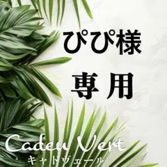 【ぴぴ様専用】