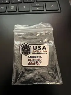 2025年最新】アメリカパビリオンの人気アイテム - メルカリ