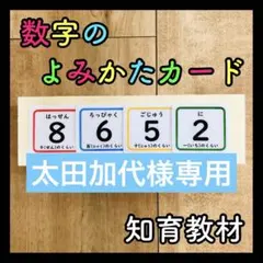 太田加代様専用  ケース付き