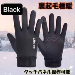 手袋 スマホ対応 防寒 裏起毛 滑り止め 手ぶくろ 男女兼用 防風 自転車