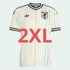 正規品 2XL 日本 レプリカ ユニフォーム ワールドカップ