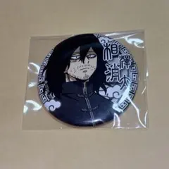 ⚠*る様 僕のヒーローアカデミア ヒロアカ 相澤消太 缶バッジ