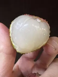 4-5 sayasaya様2箱 鹿児島県産 生ライチ農薬化学肥料不使用 - メルカリ