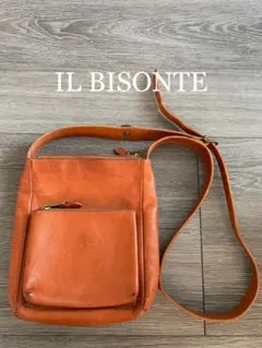 IL BISONTE イルビゾンテ ミニショルダーバッグ