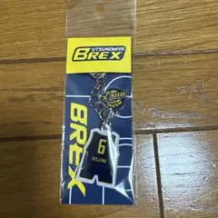 比江島慎 アクリルキーホルダー宇都宮ブレックス 2025-26