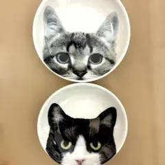 猫の小皿 2枚セット ハチワレ サバ　ネコ　小皿　豆皿　にゃんこ