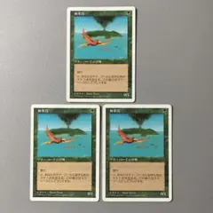 2026年最新】極楽鳥 mtgの人気アイテム - メルカリ