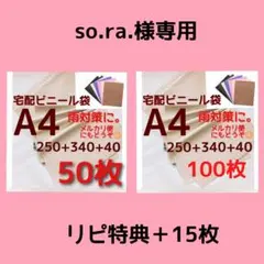 くすみカラー◇発送用 宅配ビニール袋a4 メルカリ便袋 メルカリストア梱包資材