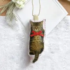 すやすや幸せそうに眠るキジトラ猫のキーホルダー♡ブローチも変更可能☆