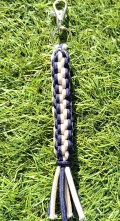 Item thumbnail for item 87a51dfd-1fa2-4986-90f5-d3c556901af7