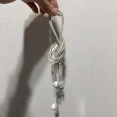 Lightning端子付き 有線イヤホン