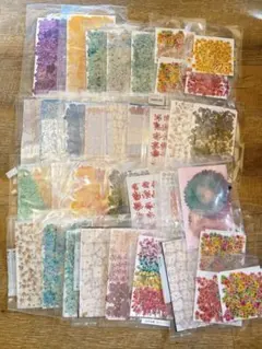 Item thumbnail for item b0671e0d-ce3c-43b1-a6d9-2b30c805f620