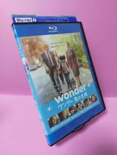 Wonderful World（アニメイト限定版） [DVD・2枚組] - メルカリ