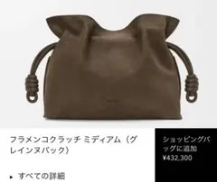 ロエベ　フラメンコクラッチ ミディアム（グレインヌバック）のサムネイル