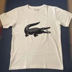 LACOSTE SPORT Tシャツ ホワイト 152cmのサムネイル