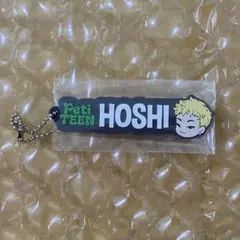 SEVENTEEN セブチ ホシ 一番くじ ラバーチャーム