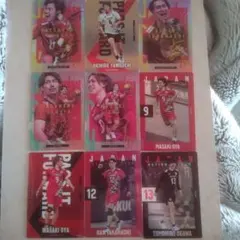 日本代表 バレーボール 選手カードセット