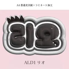 ALD1 リオ ぷっくり ネームボード オーダー 韓国 文字パネルのサムネイル