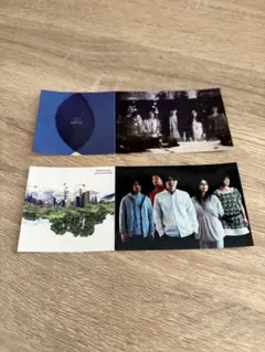 サカナクション レコード特典 非売品ステッカー LP アナログ タワレコ