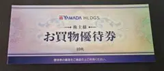 ヤマダ電機 YAMADA HDGS. お買物優待券 10枚 5000円分
