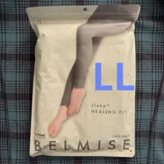 Item thumbnail for item 3580a749-1439-4e08-a646-0fe8278bbf5c