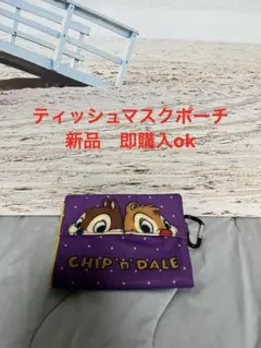 新品　チップ&デール　ティッシュマスクポーチ　即購入ok