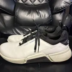 Item thumbnail for item 2d76b52d-e87c-44a7-b712-c04cc42cad8a