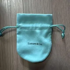 Item thumbnail for item 9638f31e-414b-4ec1-931d-879c21630f47