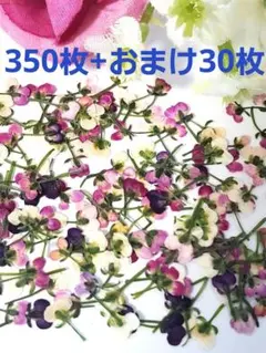 くまさん様 リクエスト 2点 まとめ商品