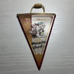 ディズニー 40周年 ガーランド