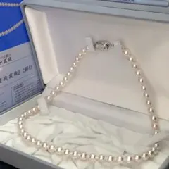 花珠真珠✨あこや真珠 ネックレス パール SV テリ最強 鑑別書 6.5-7.0 