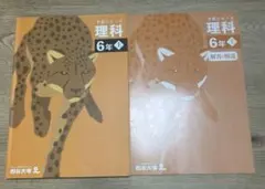 2026年最新】予習シリーズ 6年の人気アイテム - メルカリ