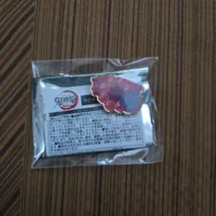 鬼滅の刃　鬼滅祭　ピンズ　猗窩座