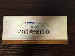 ヤマダ電機 株主優待 500円×10枚 5000円分