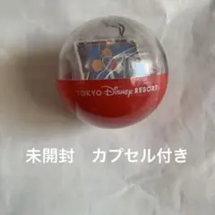 新品未開封　東京ディズニーリゾート　カプセルトイ　ミニフードチャーム 浮き輪まん